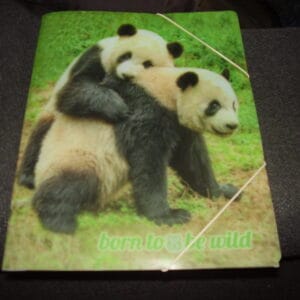 Panda elastische map A4