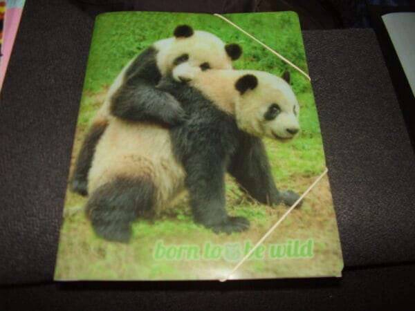 Panda elastische map A4
