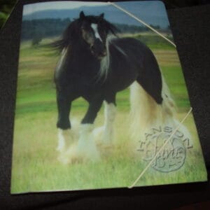 Paard elastische map A4 plastiek