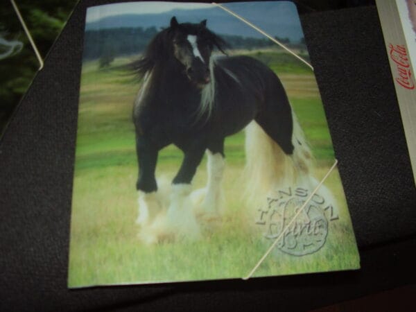 Paard elastische map A4 plastiek