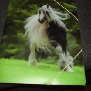 Paard elastische map plastiek A4