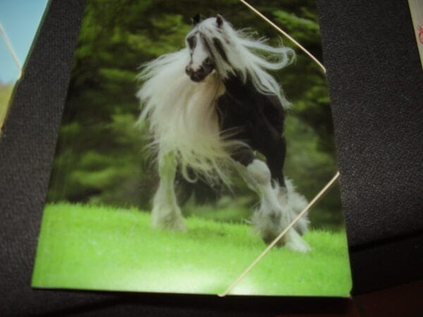 Paard elastische map plastiek A4