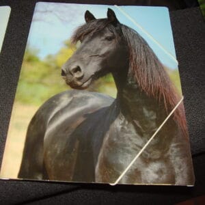 Paard elastische map