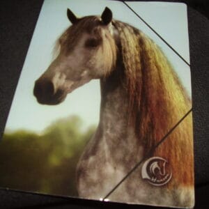 Paard elastische map