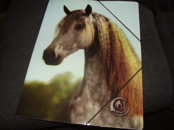 Paard elastische map