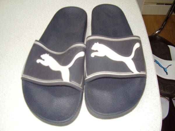 Puma pantolles