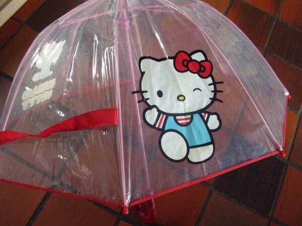 Hello Kitty doorzichtig