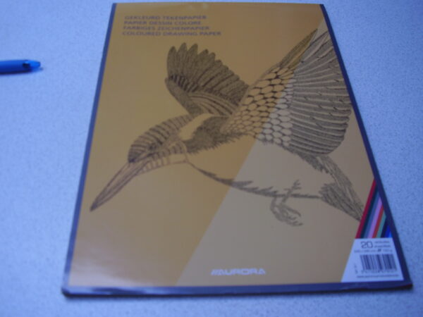 Aurora gekleurd tekenpapier 20 bladen 145x345mm 120gr