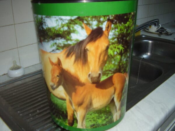 Paard emmer of vuilbak 13 liter