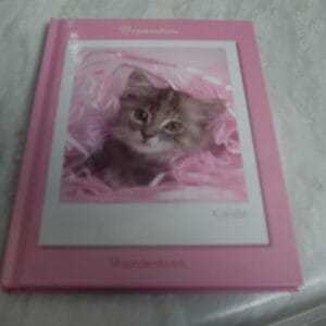 Poes vriendenboek