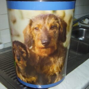Hond emmer of vuilbak 13 liter