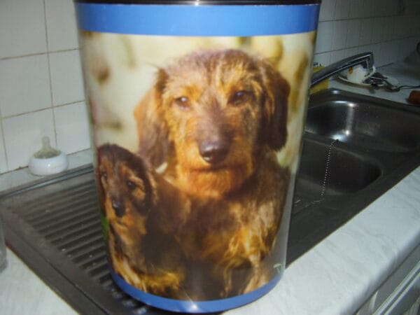 Hond emmer of vuilbak 13 liter