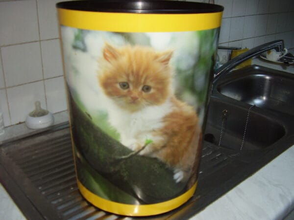 Poes emmer of vuilbak 13 liter