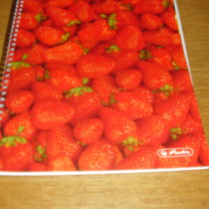 Schrift met ruitjes 29.50x22cm met aardbeien op