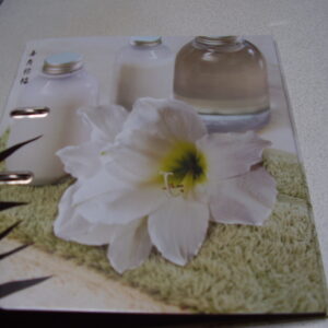 Orde ringmap met 2 ringels rug 7.50cm bloem