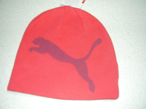 Puma muts 841371 22 volw