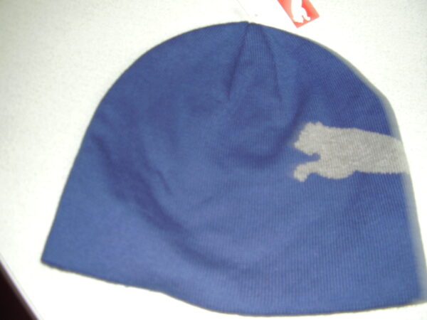 Puma muts blauw volw 842925 15