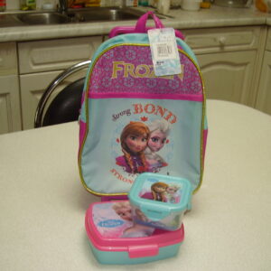 Frozen kleine trolley koekjesdoos en brooddoos