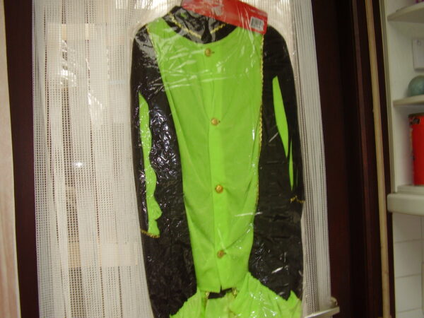Zwarte piet pak felle groen maat xxl Baret met veer,hesje,broek