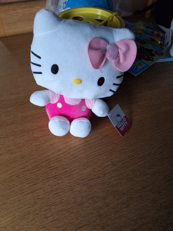 Hello Kitty 18cm roos